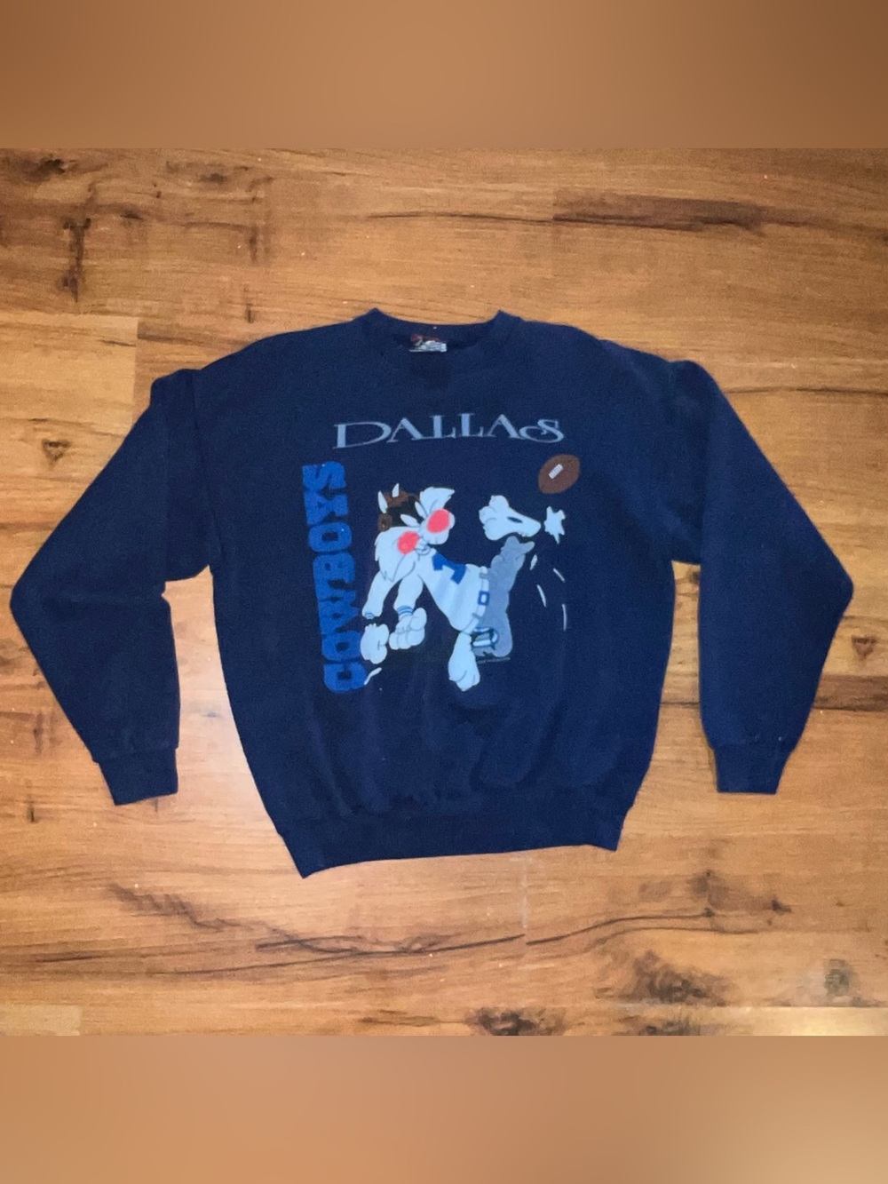 Vintage 90s Dallas Cowboys Looney Tunes Sylvester Sweatshirt Garment Graphics L